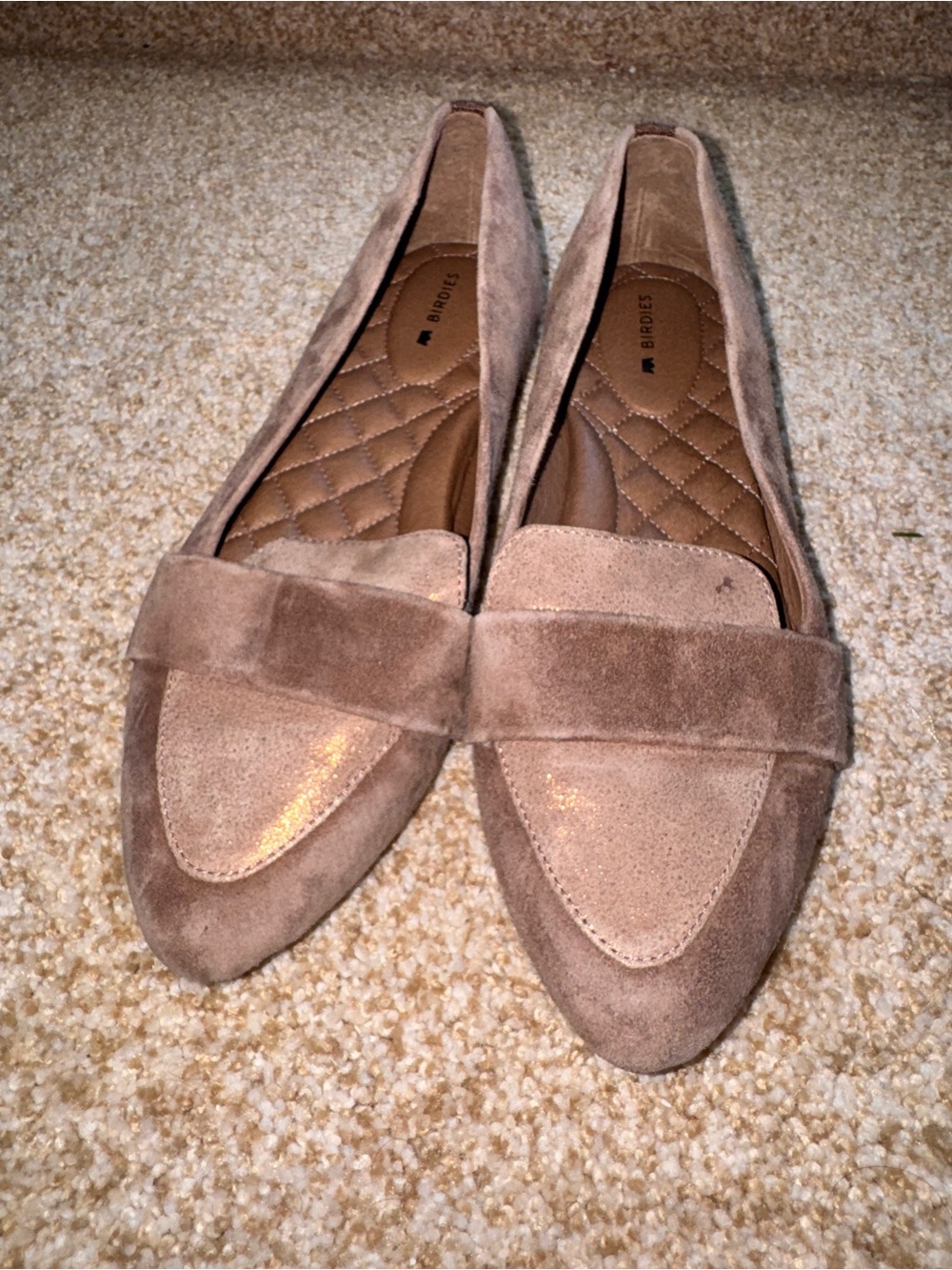 Birdies Taupe Suede Pointed-Toe Loafers
